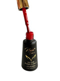 Esmalte Premium NP13 10ml Navi