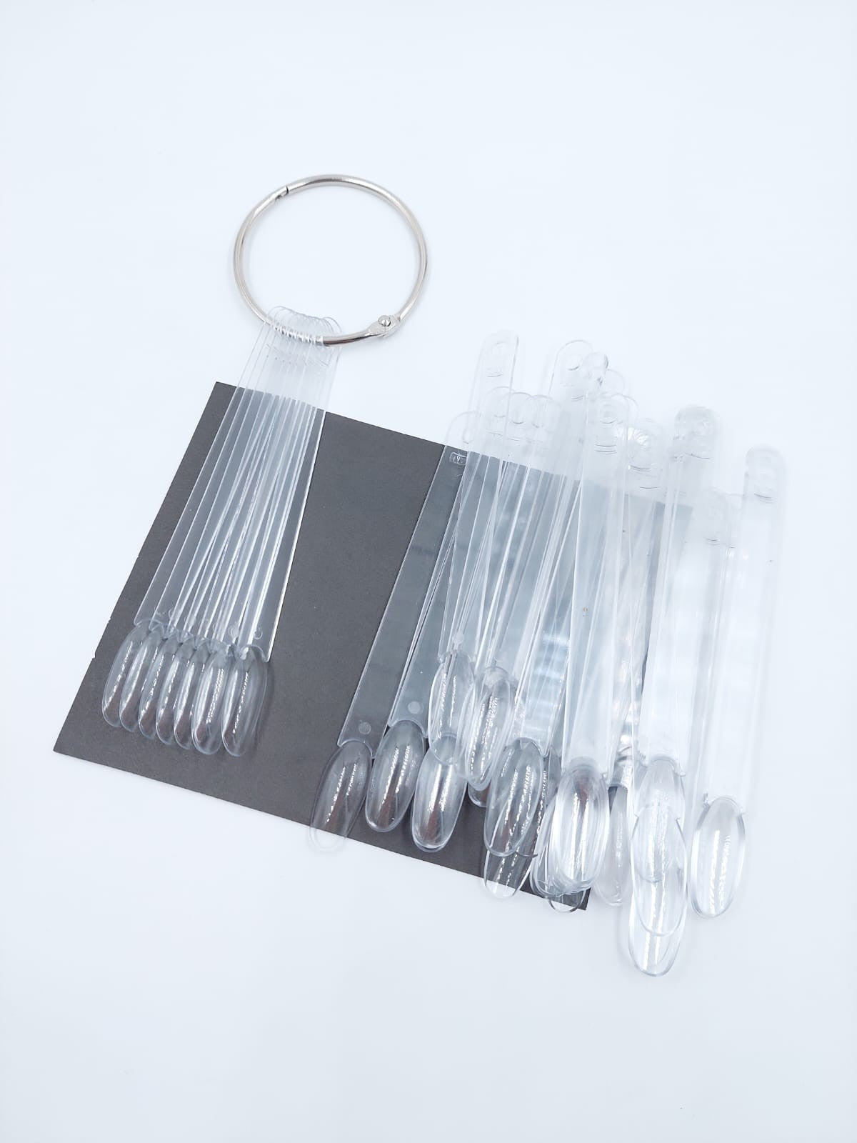 Muestrario oval traslucido (50ud)