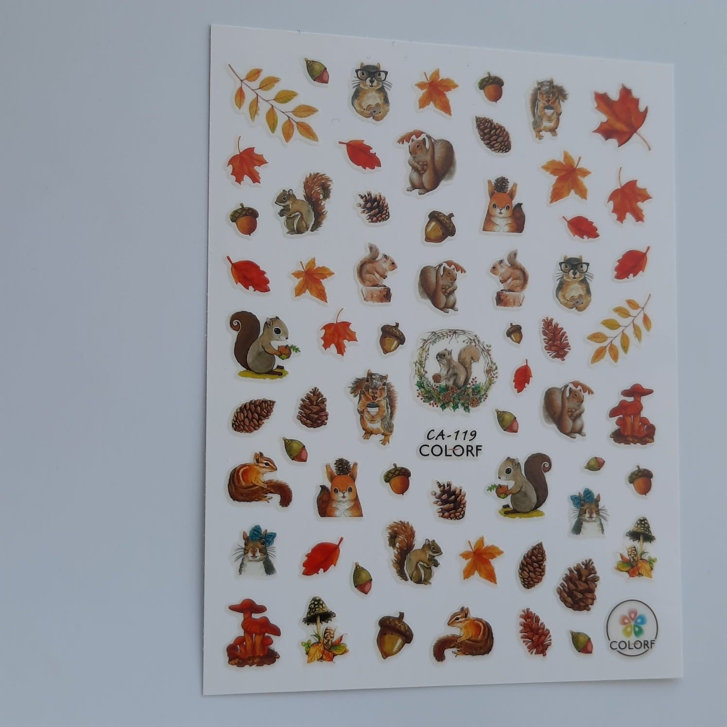 Sticker Ardilla ca119